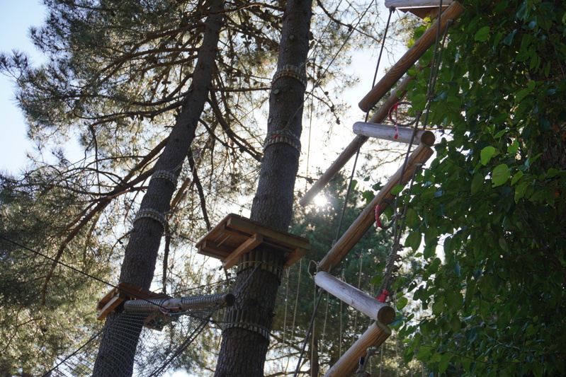 Arrampicata - Tree Climbing